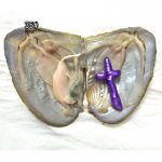 Wholesale Oyster with Purple Single 15-40mm AA Cross Pearl