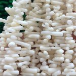 16 inches 4-7mm White Branch Bamboo Coral Beads Loose Strand