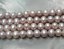 16 inches AA 5-6mm Natural Lavender Round Freshwater Pearls Loose Strand