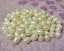 12-13mm Full Drilled Potato Shaped Freshwater Pearl with 2mm Hole,Sold by Lot,100 pcs Per Lot