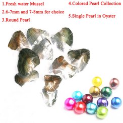 Wholesale Freshwater Mussel with Single AAA Colored Natural Pearl