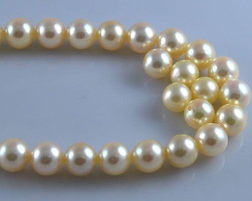 16 inches AAA 5.5-6.0mm Round Golden Akoya Pearls Loose Strand