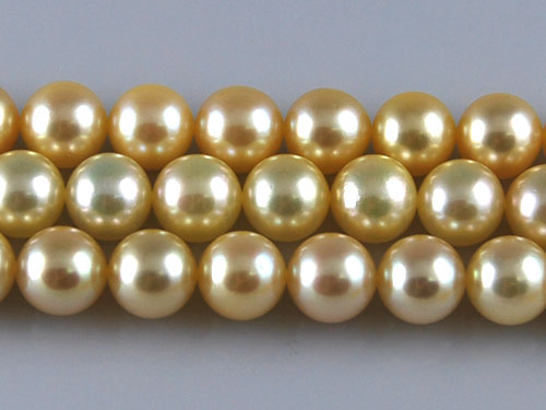 16 inches AAA 6.5-7.0mm Round Golden Akoya Pearls Loose Strand