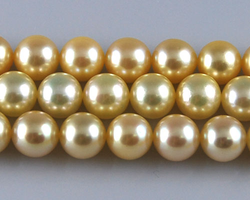 16 inches AAA 7.5-8.0mm Round Golden Akoya Pearls Loose Strand