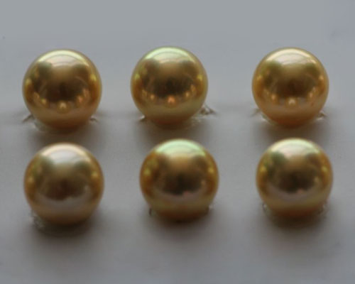 8-9 mm AAA Natural Golden Akoya Pearl,Sold By Piece