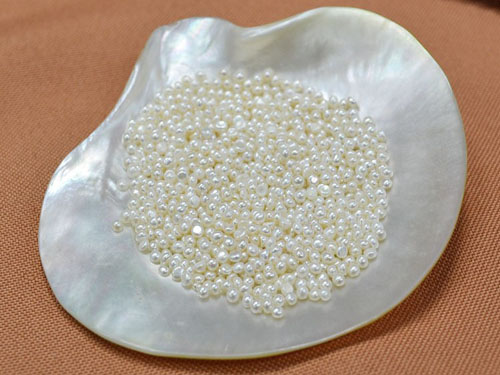 Wholesale 2-2.5mm No Hole White Button Seed Shaped Loose Pearls,Sold by Piece