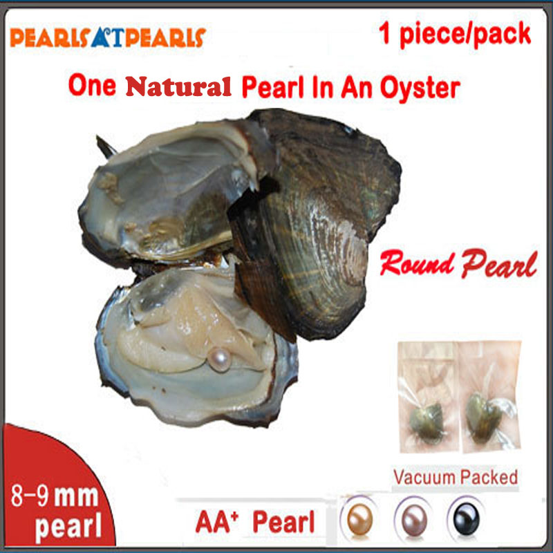Wholesale Oysters with Single Grade AA+ 8-9mm Natural Round Pearl