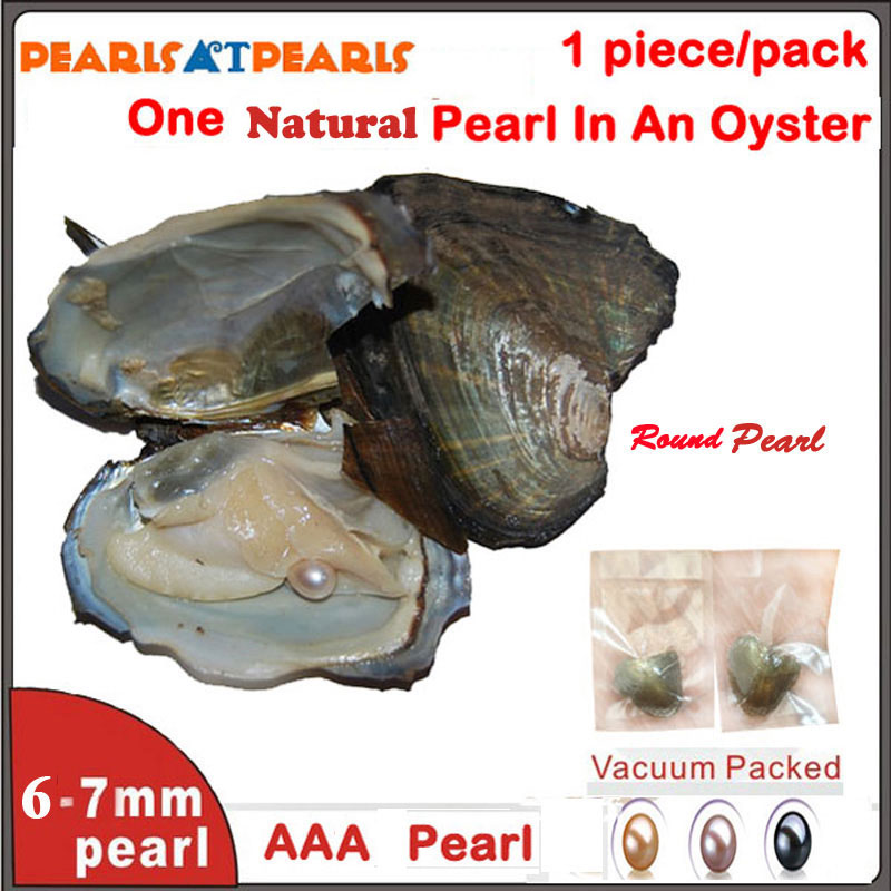 Wholesale Oysters with Single Grade AAA 6-7mm Natural Round Pearl