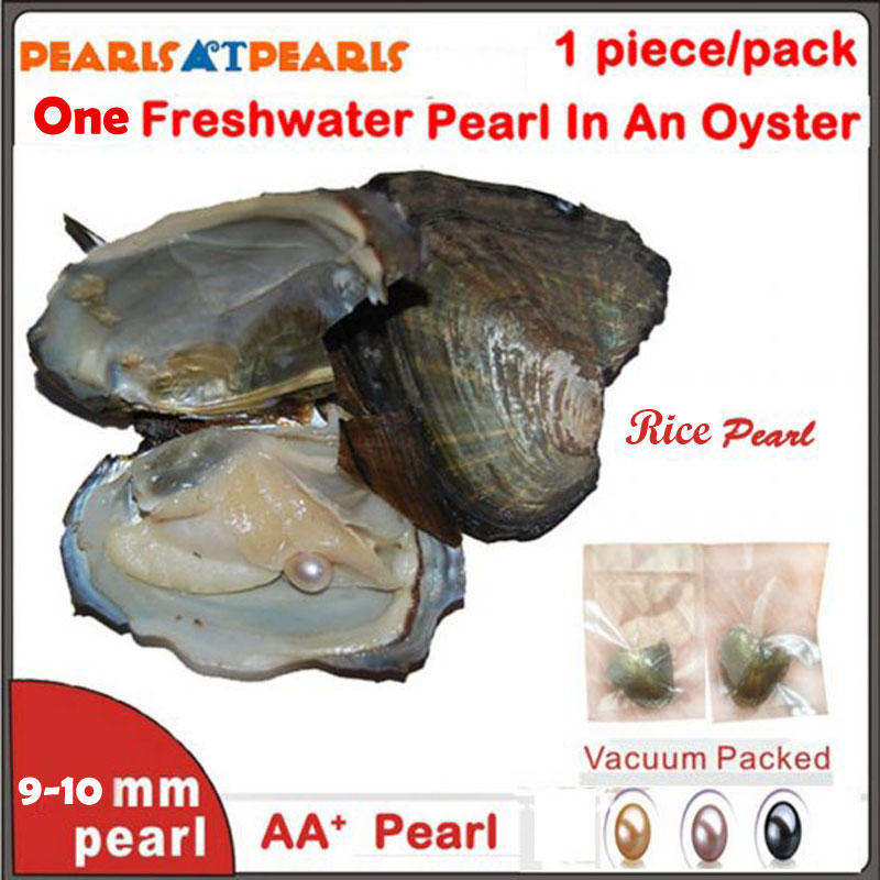 Wholesale Vacuum Oysters with Single Grade AAA 9-10mm Rice Pearl