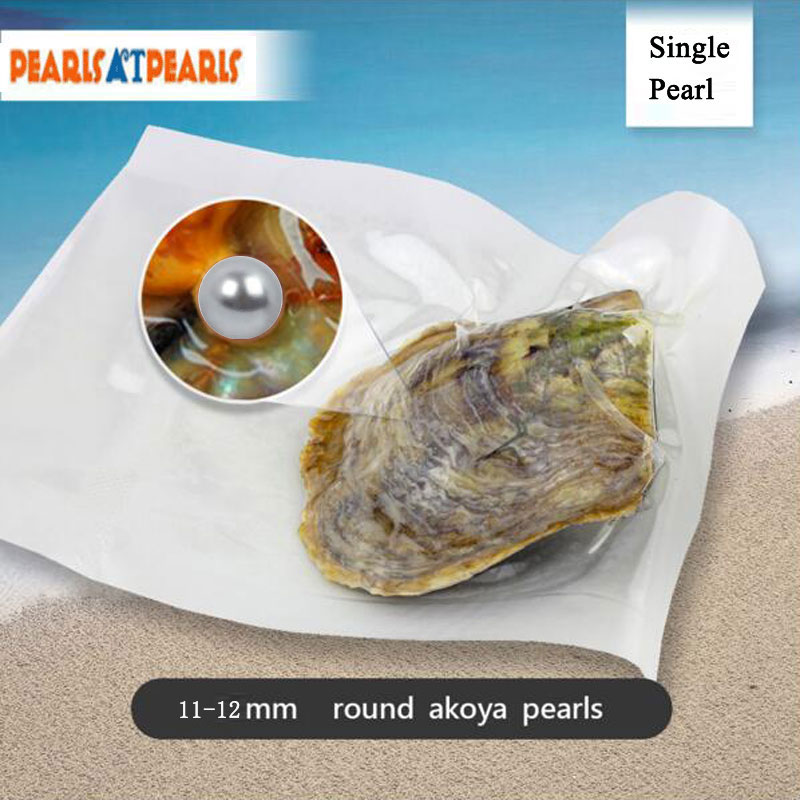 Wholesale Akoya Oyster with Single 11-12mm AA Silver Round Pearl