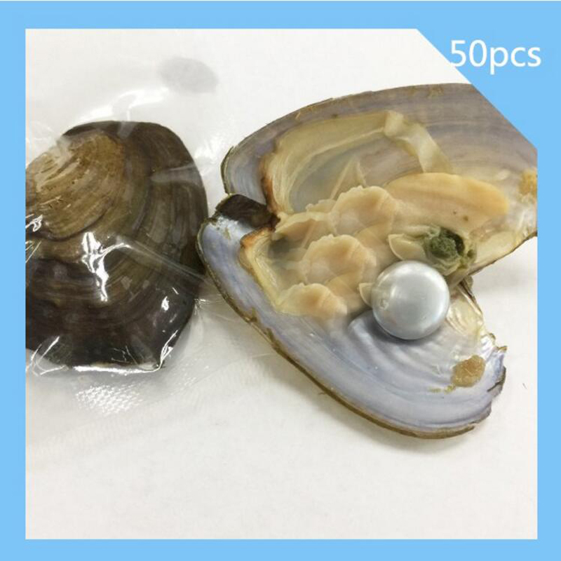 Wholesale Oyster with Single AA Silver Natural Coin Pearl