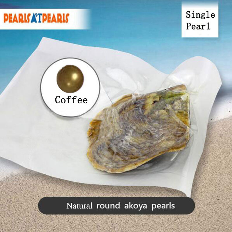 Wholesale Akoya Oyster with Single Coffee Natural Round Pearl