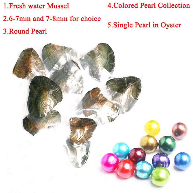 Wholesale Freshwater Mussel with Single AAA Colored Natural Pearl