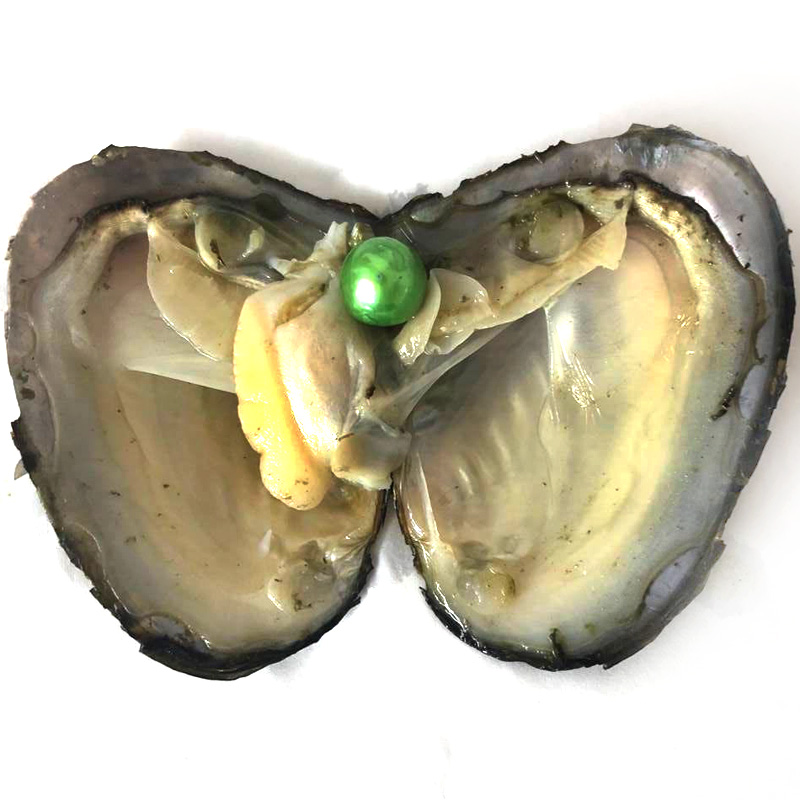 Wholesale Mussel with Single 9-10mm Bright Green Colored Near Round Pearl