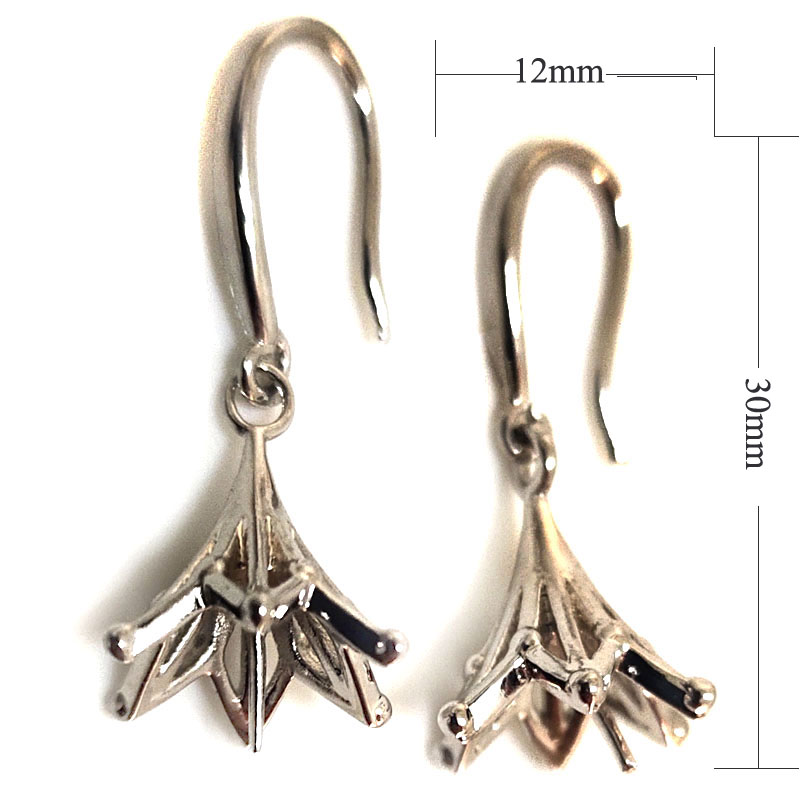 Wholesale 925 Silver Hook Earring,Sold by Pair