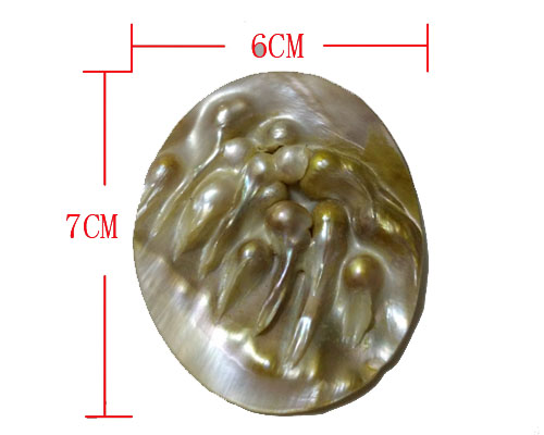 6cmx7cm Natural Flat Oval Carved Polished Original Shell Pendant