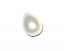14-19mm White Half Hole Raindrop Shell Pearls Loose Bead