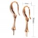 Wholesale 10x30mm Rose Gold Filled Earring Hook,Sold by Pair