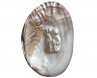 The God of Longevity Style Customized Cultured Oyster Shell