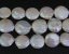 16 inches AA 14-16mm White Coin Pearls Loose Strand