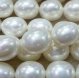 16 inches 13*15mm Shiny White Ege Shell Pearls Loose Strand
