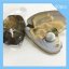 Wholesale Oyster with Single AA Silver Natural Coin Pearl