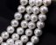 16 inches White Shell Pearls with Crystal Beads Loose Strand