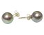 10mm Silver Gray Round Shell Pearl Earring with 925 Silver Stud