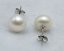 7-7.5mm AAA Round Back Pearl Earring with 925 Sterling Silver Stud