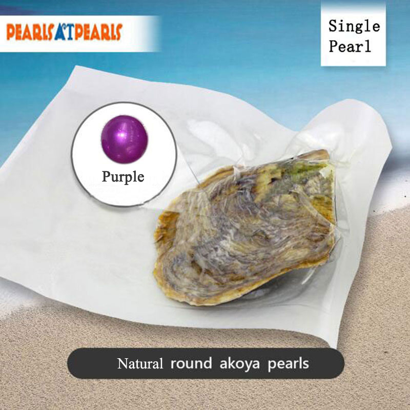 Wholesale Akoya Oyster with Single Purple Natural Round Pearl