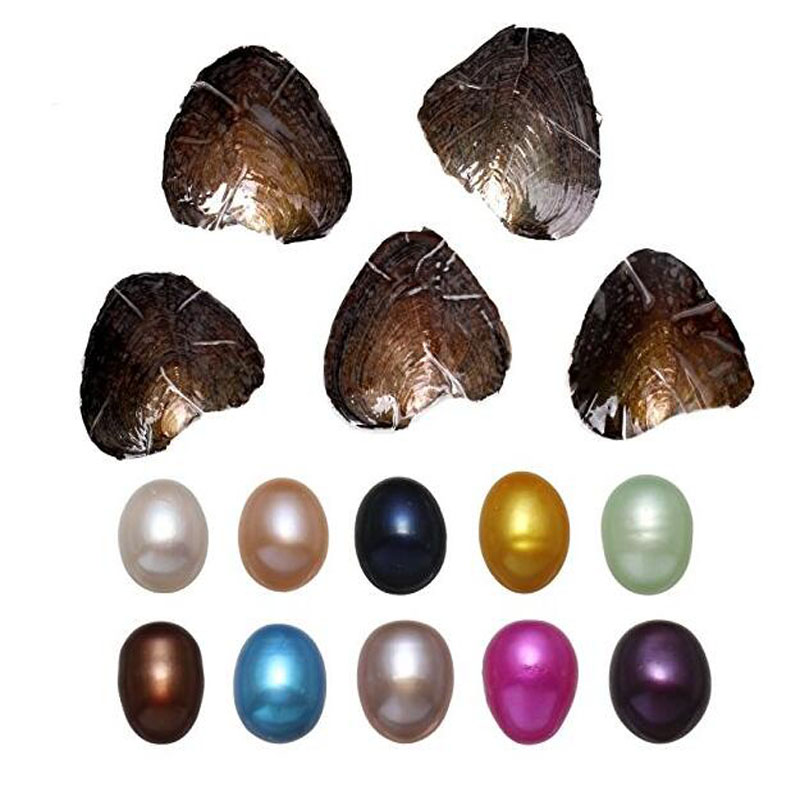 Wholesale Mussel with Single AAA Colored Natural Rice Pearl