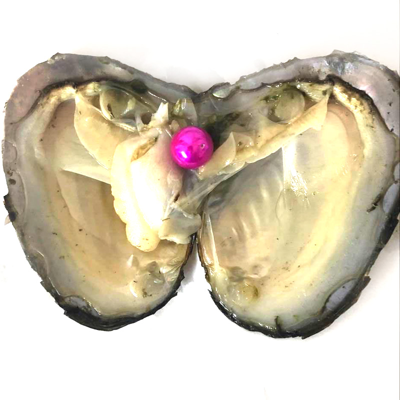 Wholesale Mussel with Single 9-10mm Hot Pink Colored Near Round Pearl
