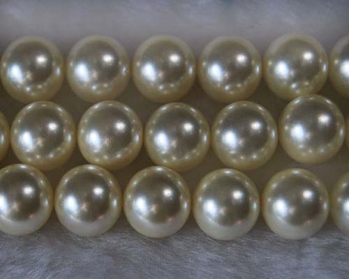 16 inches 14mm Round Shaped Cream Shell Pearls Loose Strand